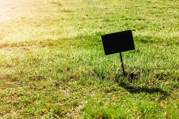 Signo de texto en el césped verde. espacio para copiar, burlarse —  Fotos de Stock