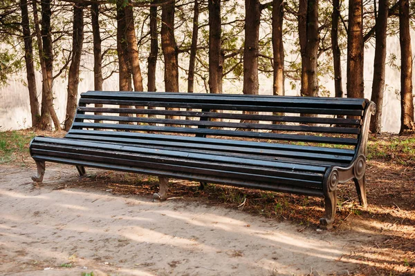 秋の公園で空の木製ベンチ — ストック写真