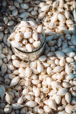 sarımsak pazarında bir cam kavanoza fidan