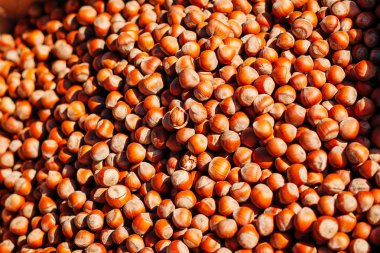 Bir fındık kökenli. Fındık yığını dokusuna yakın çekim