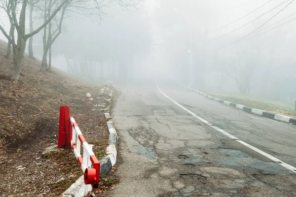 Road in fog forest. Dangerous road due to fog. — Stock Photo, Image