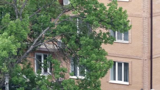Pemandangan di jendela di sebuah gedung apartemen di tengah hujan di jalan pada musim panas — Stok Video