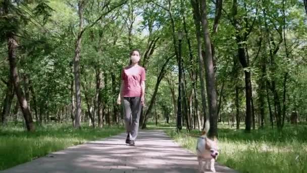 Koruyucu maskeli genç bir kadın yüzünde küçük bir köpekle parkta yürüyor. — Stok video