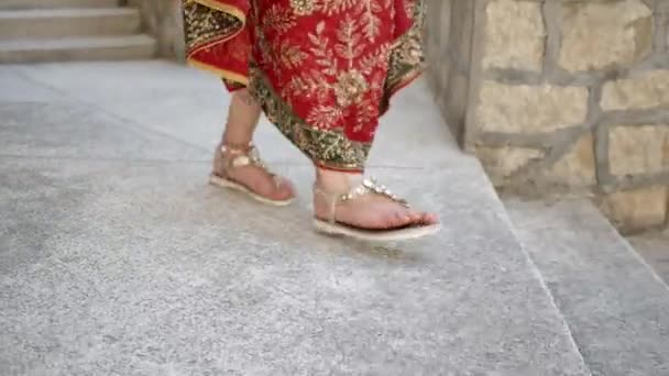 Prachtig etnisch Indiaas Saree. Jonge vrouw in rode, kleurrijke, sensuele, bruiloft en zeer vrouwelijke outfit - Indiase sari wandelingen langs oude straten in India. Traditionele nationale kleding van Indiase vrouwen — Stockvideo