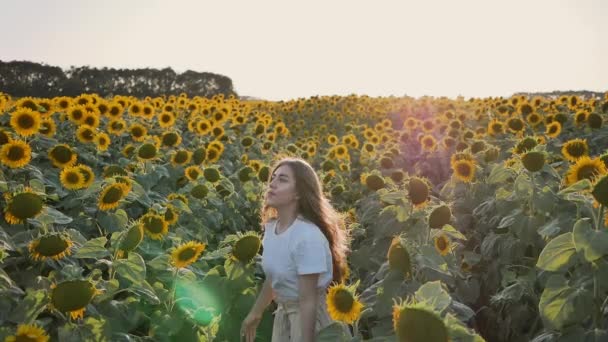 Niedliche junge Frau in der Mitte des Feldes von großen Sonnenblumen verloren und auf der Suche nach jemandem, Bouncing, hebt ihre Hände nach oben — Stockvideo