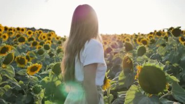 Tanımlanamayan bir kız ayçiçeği tarlasından kameraya doğru yürüyor.