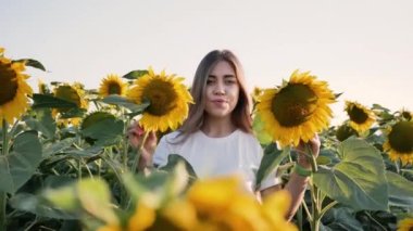 Tarla ayçiçeklerinde poz veren genç ve güzel bir kadın. Tarım uzmanları iyi hasat gösteriyor