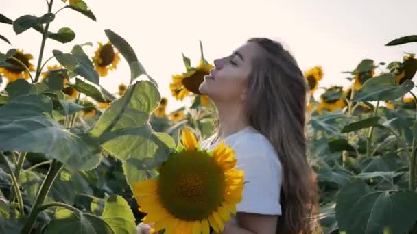 Frau im Feld Sonnenblumen genießen die Natur. Frau glättet Haare Portrait Ansicht — Stockvideo