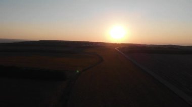 Gün batımında açmakta olan ayçiçeği tarlalarının üzerinden uçarak.