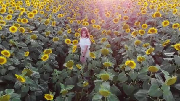 Luchtvlucht boven jonge vrouw loopt door bloeiende veld van zonnebloemen. Meisje — Stockvideo