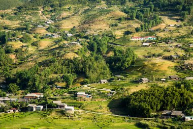 Pirinç teras Sapa Vietnam ile dağ manzarası.