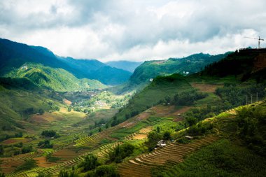 Pirinç teras Sapa Vietnam ile dağ manzarası.