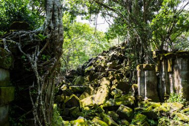 Beng Mealea Tapınağı, antik gizleme ormanda, Siem Reap, Kamboçya kalıntıları