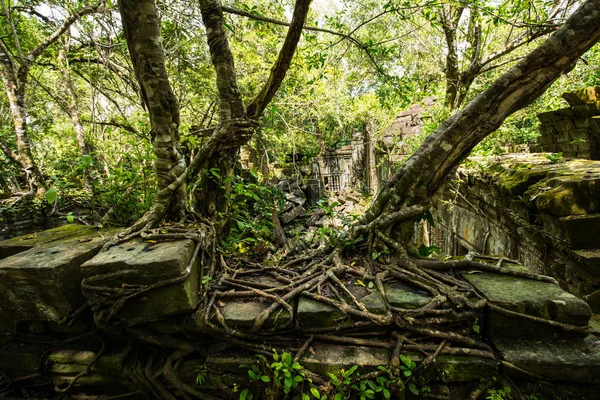 Beng Mealea Tempel Die Ruinen Der Alten Versteckt Den Wäldern — Stockfoto