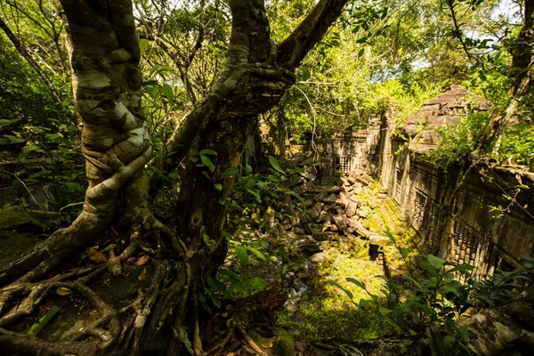 Beng Mealea Tempel Die Ruinen Der Alten Versteckt Den Wäldern — Stockfoto