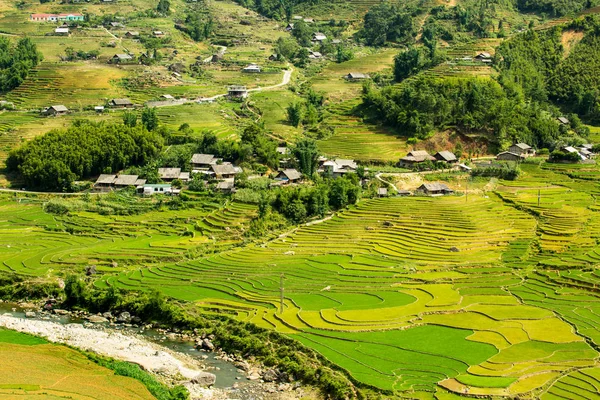 Pemandangan Gunung Dengan Teras Padi Sapa Vietnam — Stok Foto