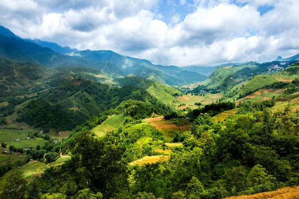 Pirinç Teras Sapa Vietnam Ile Dağ Manzarası — Stok fotoğraf