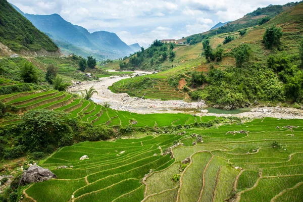 Vista Montaña Con Terraza Arroz Sapa Vietnam — Foto de Stock