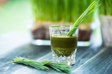 Taze buğday çimen suyu, sağlıklı beslenme için organik gıda.