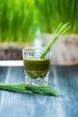 Taze buğday çimen suyu, sağlıklı beslenme için organik gıda.