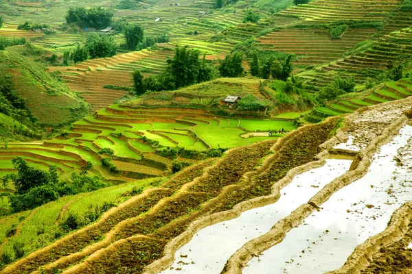 Pirinç Teras Sapa Vietnam Ile Dağ Manzarası — Stok fotoğraf