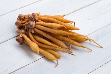 Parmak kök Tayland Mutfağı, yemek pişirmek için madde olduğunu o da geleneksel tıp.