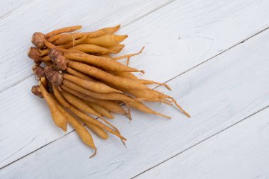 Parmak kök Tayland Mutfağı, yemek pişirmek için madde olduğunu o da geleneksel tıp.