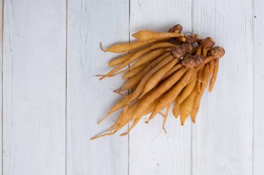 Parmak kök Tayland Mutfağı, yemek pişirmek için madde olduğunu o da geleneksel tıp.