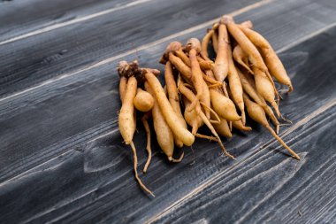 Parmak kök Tayland Mutfağı, yemek pişirmek için madde olduğunu o da geleneksel tıp.