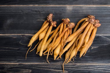 Parmak kök Tayland Mutfağı, yemek pişirmek için madde olduğunu o da geleneksel tıp.