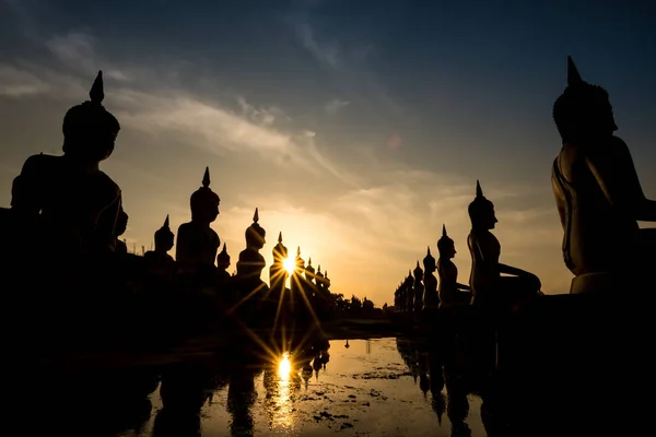 Das Feld Des Großen Buddha Bildes Abendlicht — Stockfoto