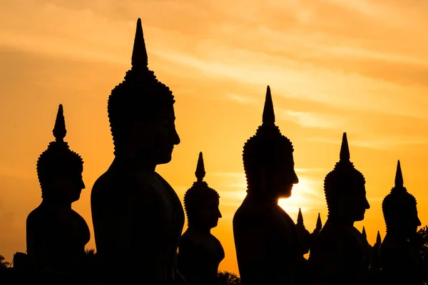 Das Feld Des Großen Buddha Bildes Abendlicht — Stockfoto