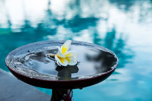 Flower in tray with pedestal