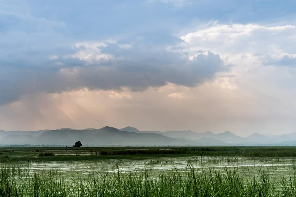 Paisagem de zonas húmidas — Fotografia de Stock