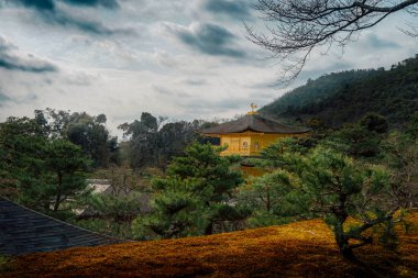 Kinkaku-ji, kelimenin tam anlamıyla 