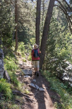 Yürüyüş bir hasır şapka ve sırt çantası ile kadın İspanyolca Pyrenees aracılığıyla
