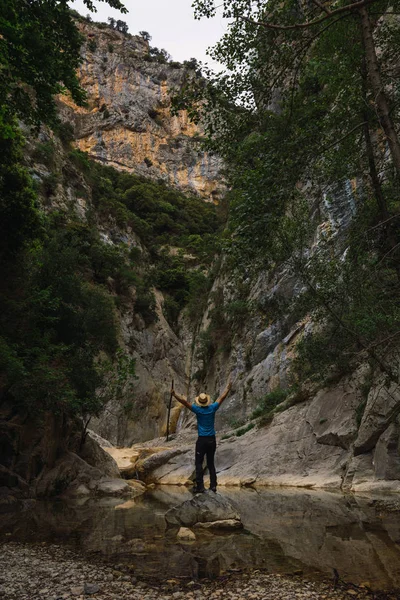 L'homme contemplant la grandeur de la forêt — Photo