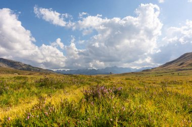 Yazın Baqueira beresinde yüksek dağ manzaraları. Kesinlikle Katalonya Pireneleri 'nde.