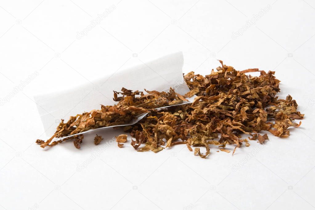 unrolled cigarette with tobacco, in paper isolated on white background