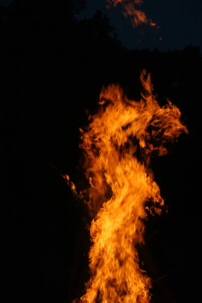 Fire flame: Ngọn lửa luôn là một chủ đề thu hút và gây ấn tượng với nhiều người. Xem những hình ảnh về lửa cháy, đốt đồ dễ thương hoặc cảnh các vật thể đang bốc khói sẽ mang lại những trải nghiệm tuyệt vời cho bạn.