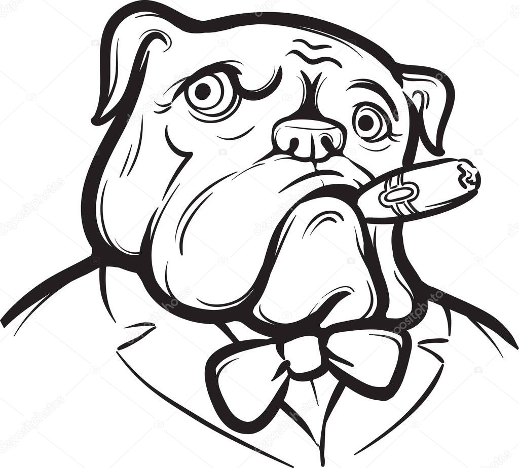 Vettoriale stockDisegno Lavagna Vecchio Bulldog Inglese Con Sigaro di  ©OneLineStock #226876616, image size:1024x924
