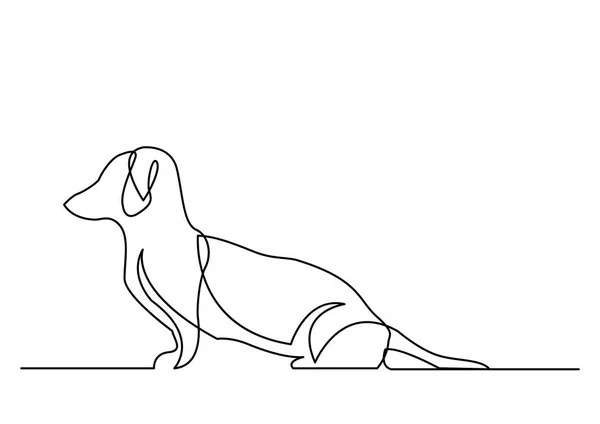 Безперервна Лінія Креслення Таксономії Собаки — стоковий вектор