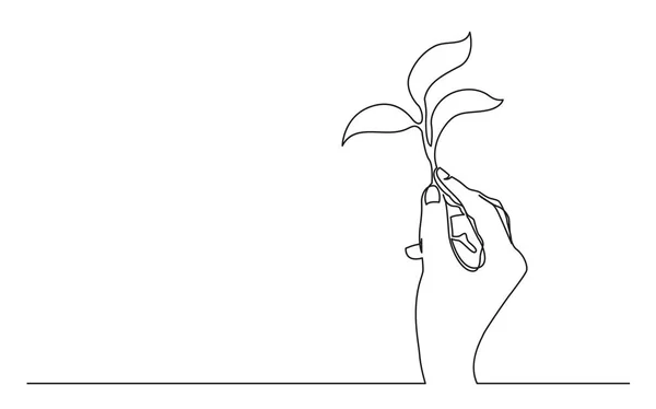 식물의 그리기 — 스톡 벡터