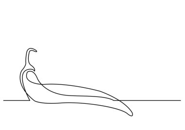 Chili biber sürekli çizgi çizme