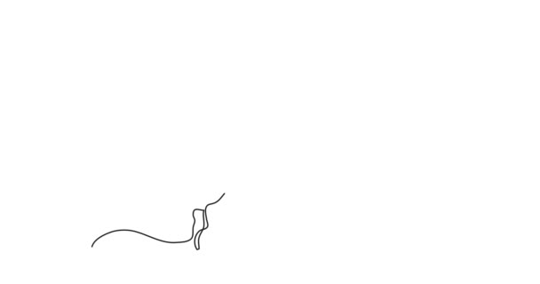 Анимация Бизнесмена Летящего Воздушном Шаре Однолинейный Рисунок — стоковое видео