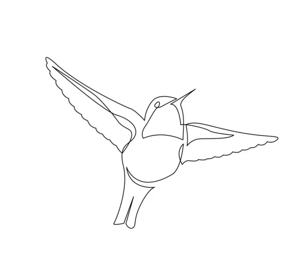 Línea continua dibujo de colibri hermoso pequeño pájaro volando — Vector de stock