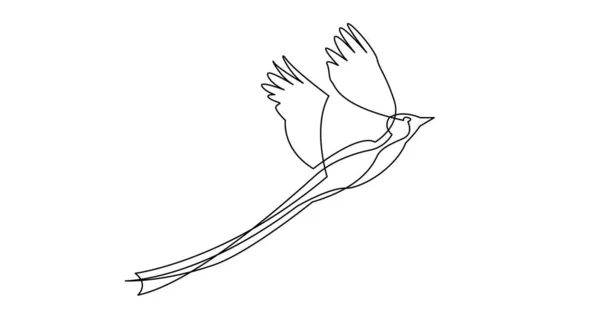 Dibujo de línea continua de hermoso pájaro con cola larga volando — Vector de stock