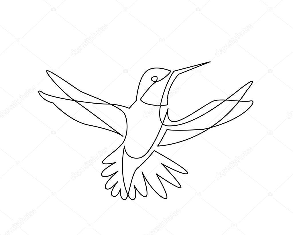 continuous line drawing of colibri birg flying