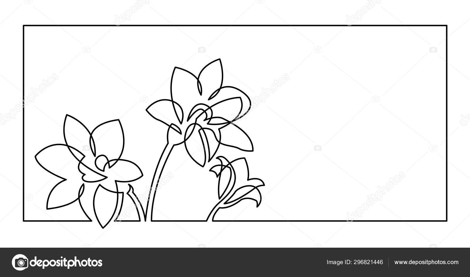 Featured image of post Daffodil Flower Line Drawing Learn how to draw flowers using simple line drawings