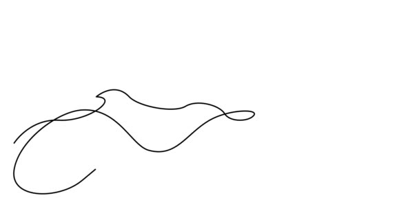 Auto Desenho Animação Linha Homem Mulher Exercitando Caiaque Belas Águas — Vídeo de Stock